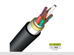 美国 AFL 品牌Logo