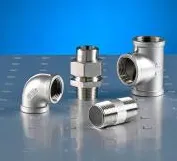 法国 FGINOX 品牌Logo