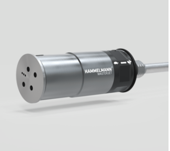 HAMMELMANN