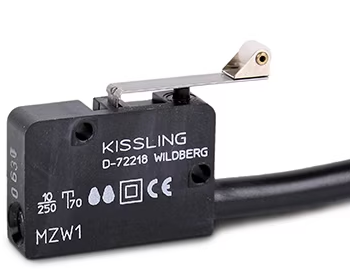 KISSLING