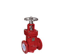 德国 RICHTER 品牌Logo