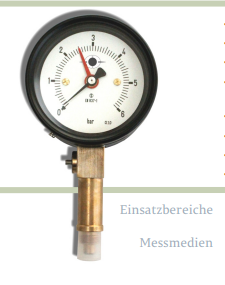 Stein Sohn
