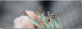 Thermo Sensor
