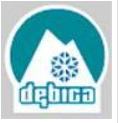 波兰 Dębica品牌Logo