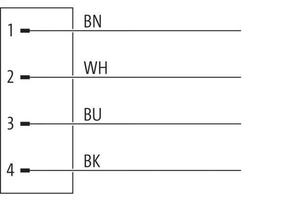 Baumer ESW 31AY0200 11166441原厂跨境代采