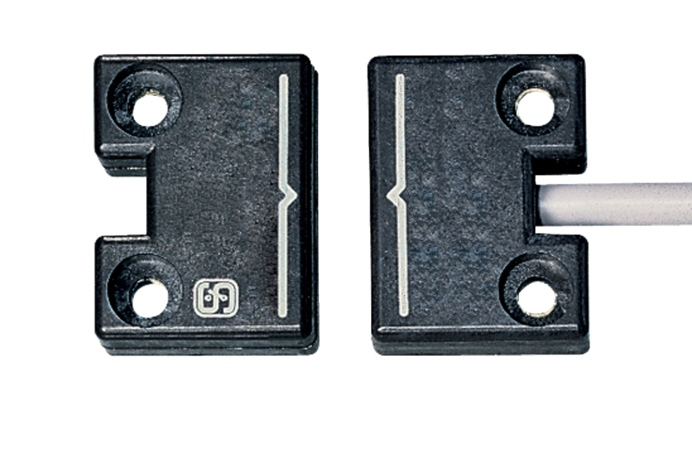 BNS 250-12ZG 101123072 Schmersal