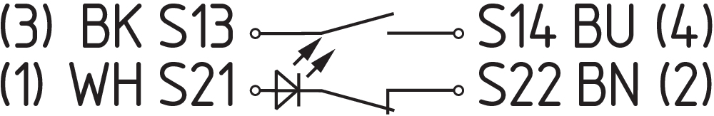 BNS 36-11ZG-L 101193141 Schmersal