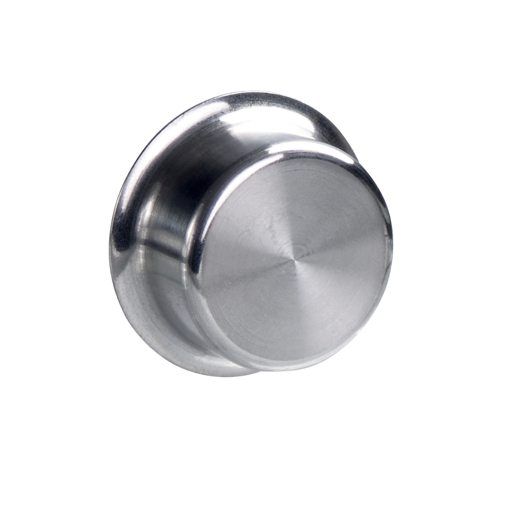 BPS 303 SS 101141156 Schmersal