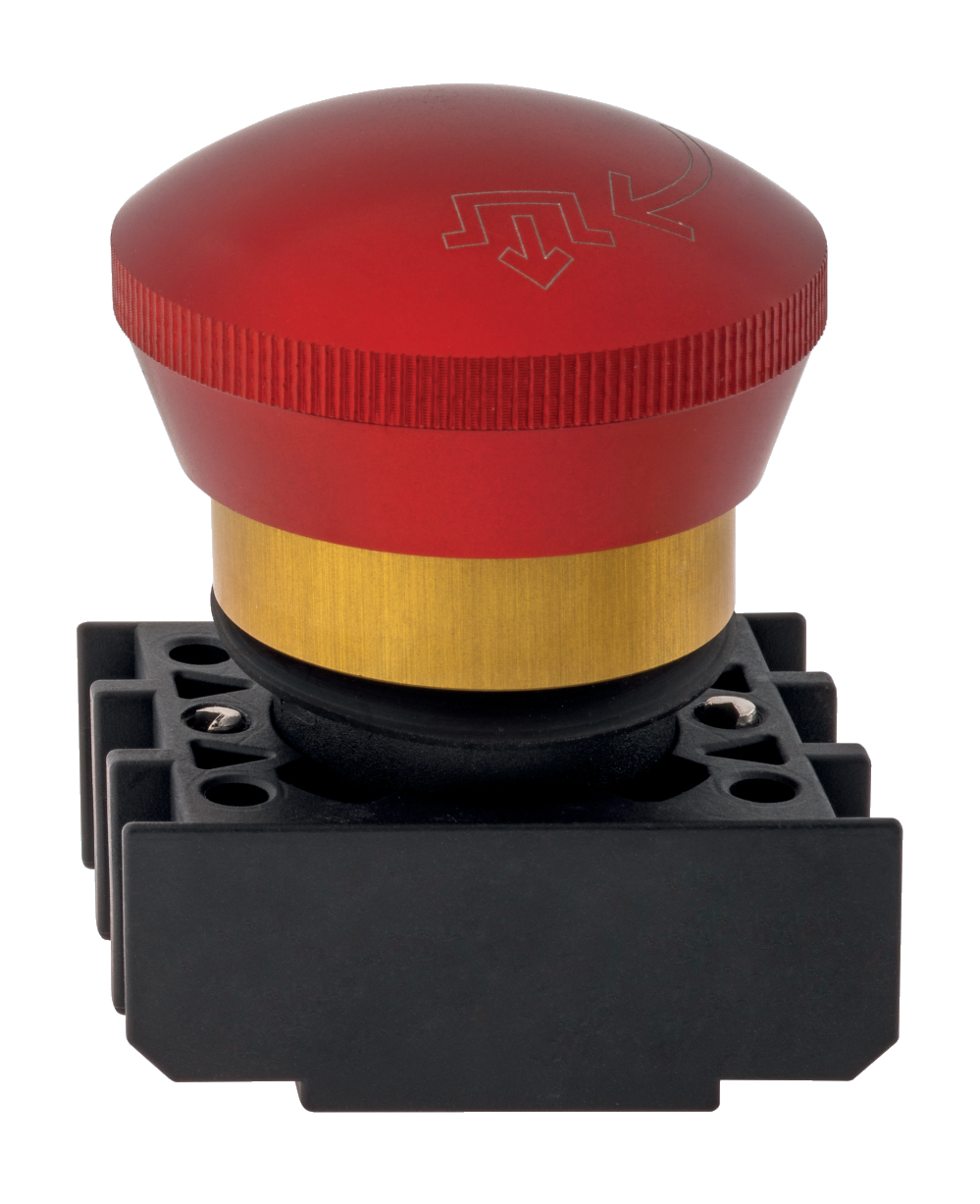 EDRR40RT 101021009 Schmersal