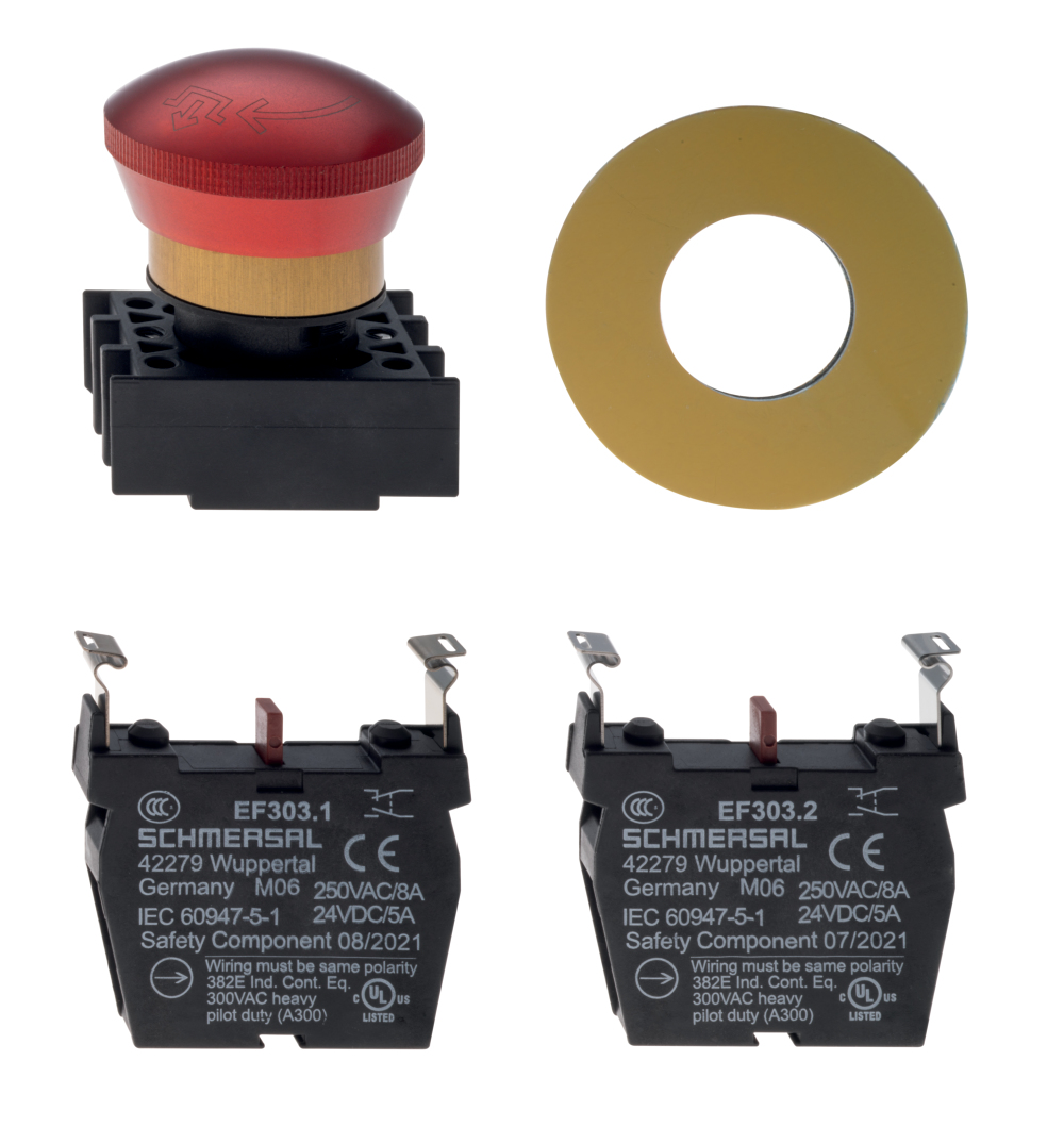 Schmersal EDRR40RT/2X303/GB 103008214