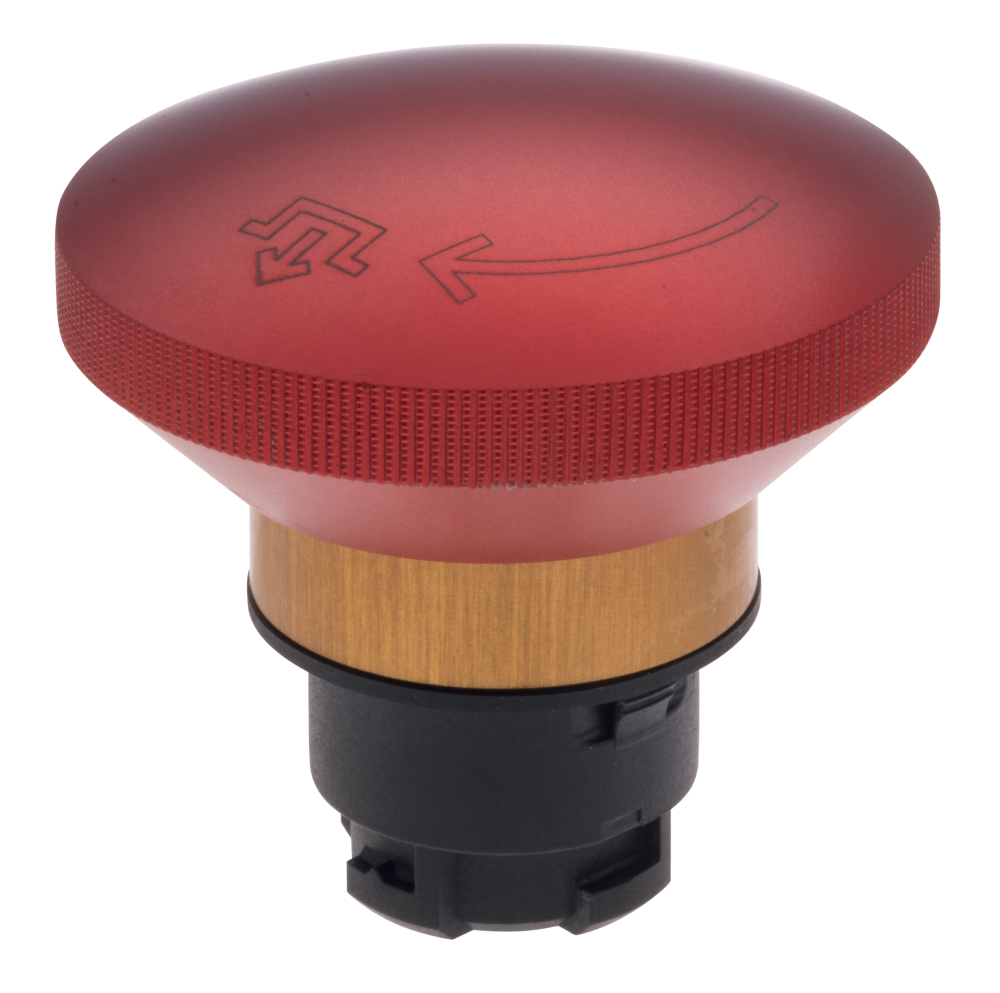 EDRR50RT 101021015 Schmersal