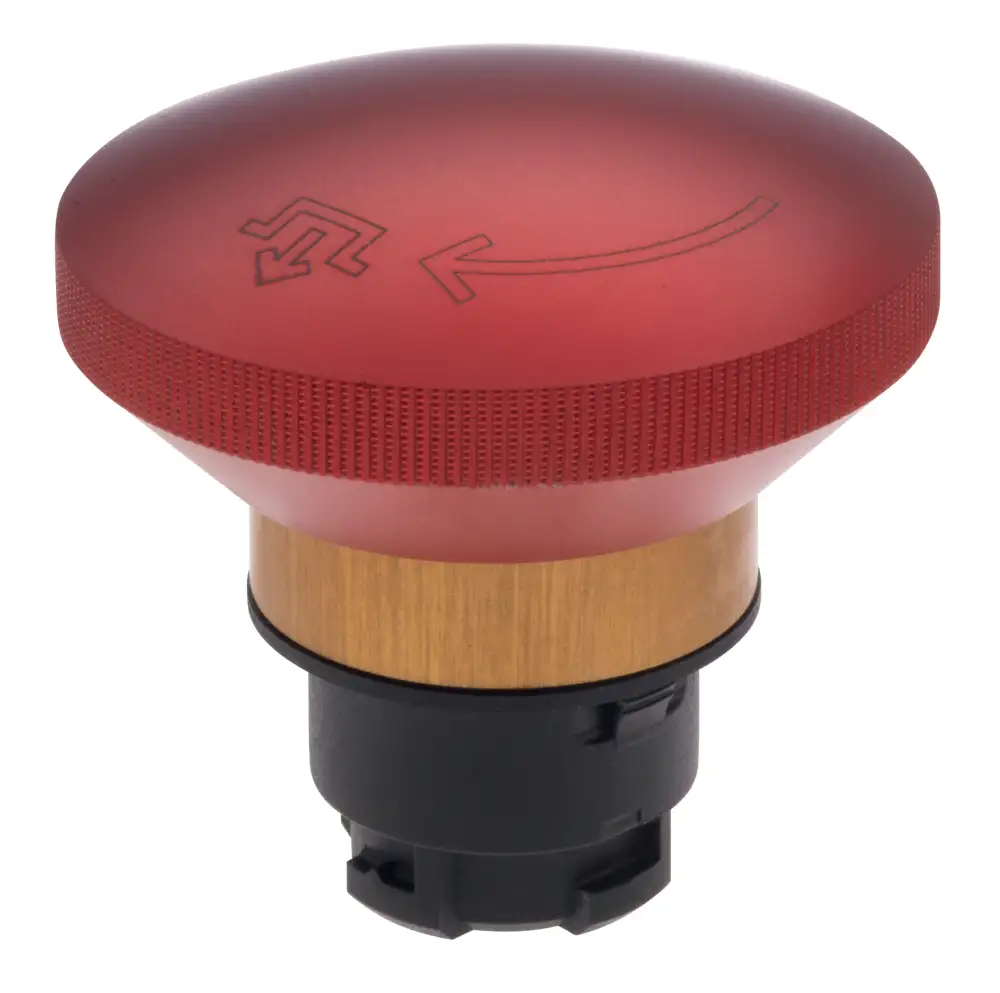 EDRR50RT 101021015 Schmersal