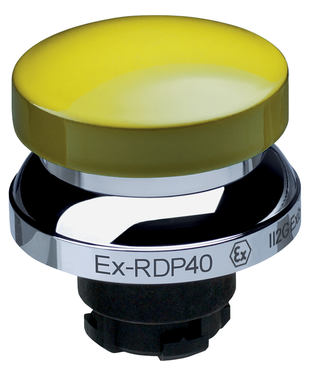 Schmersal EX-RDP40GB 101193560