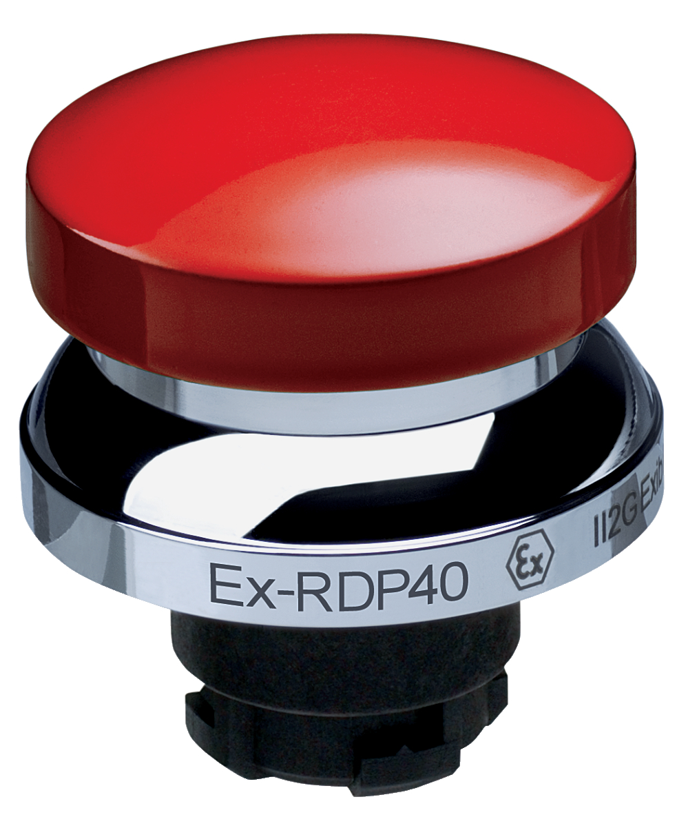 Schmersal EX-RDP40RT 101193558