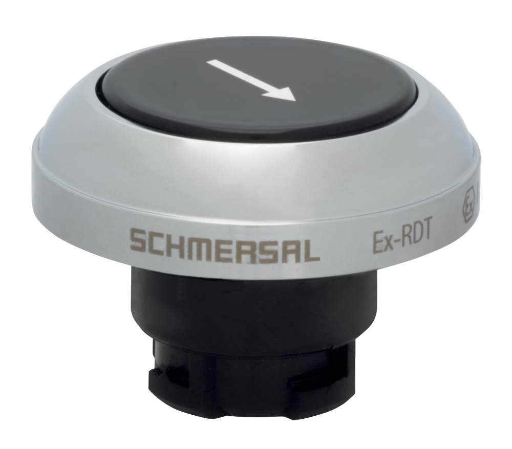 EX-RDTSW/101D 101213994 Schmersal