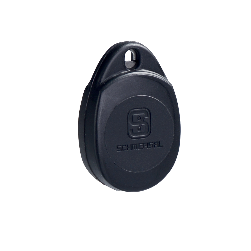 Schmersal MZM 100 TARGET 101210642