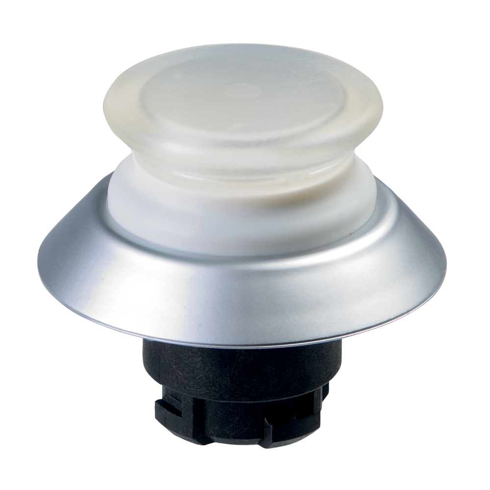 Schmersal NDLP30WS 103005368