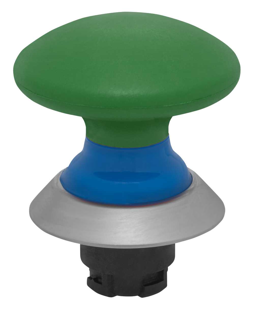 NDP50BL/GN 103009729 Schmersal