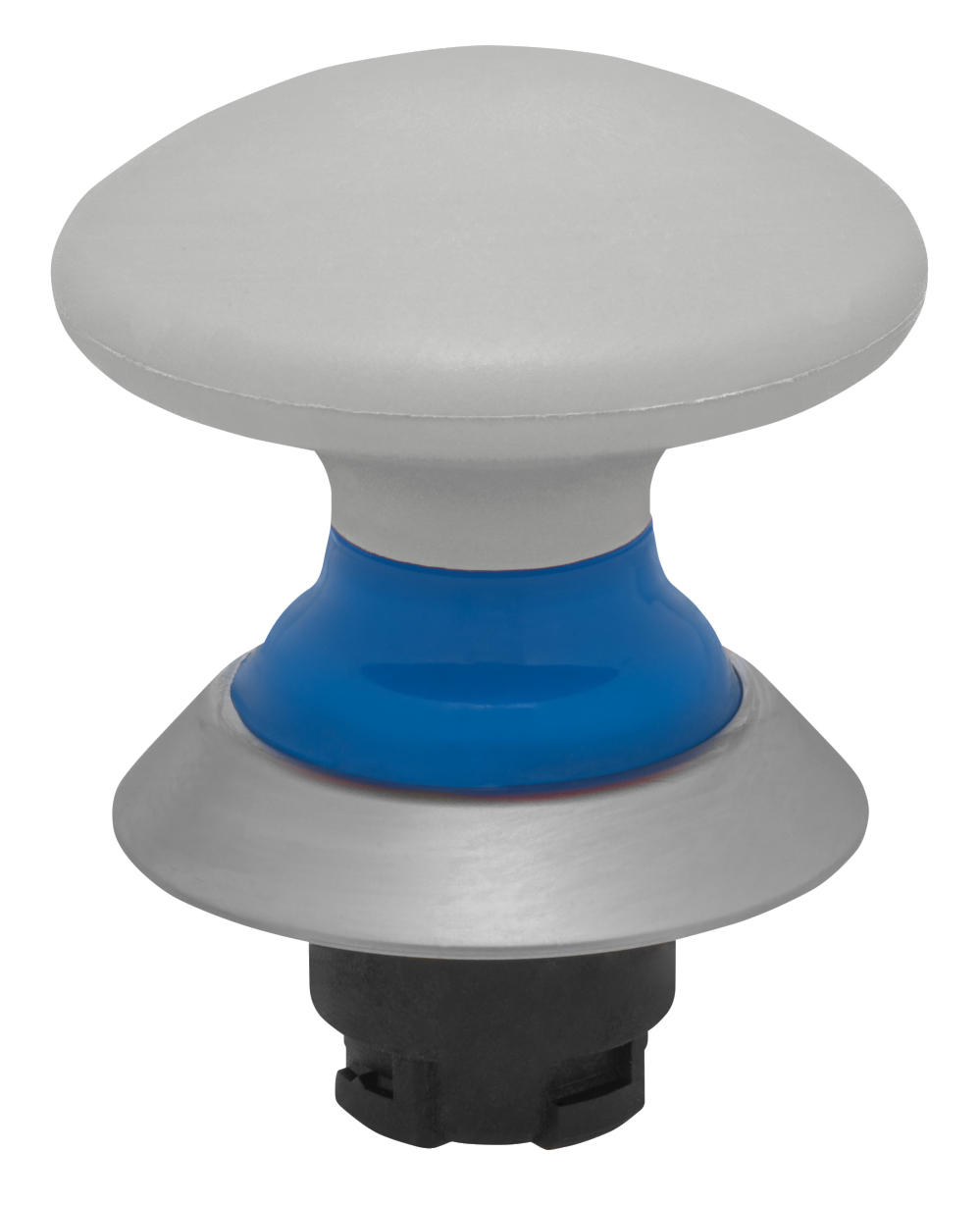 Schmersal NDP50BL/WS 103009730