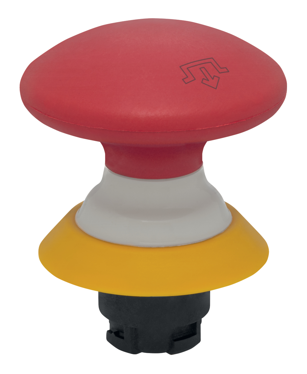 NDRZ50RT-2905-1 103011890 Schmersal