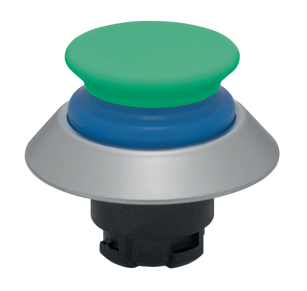 NDTP30BL/GN 103009737 Schmersal