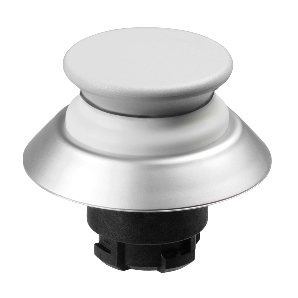 Schmersal NDTP30WS 103005363
