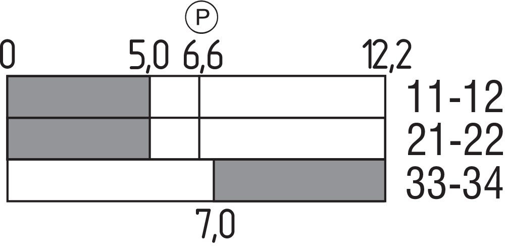 PS216-T12-K250 103015041 Schmersal