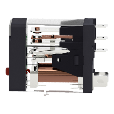 RXG12BD - Schneider产品图片