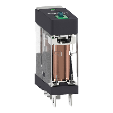 RXG12BD - Schneider产品图片