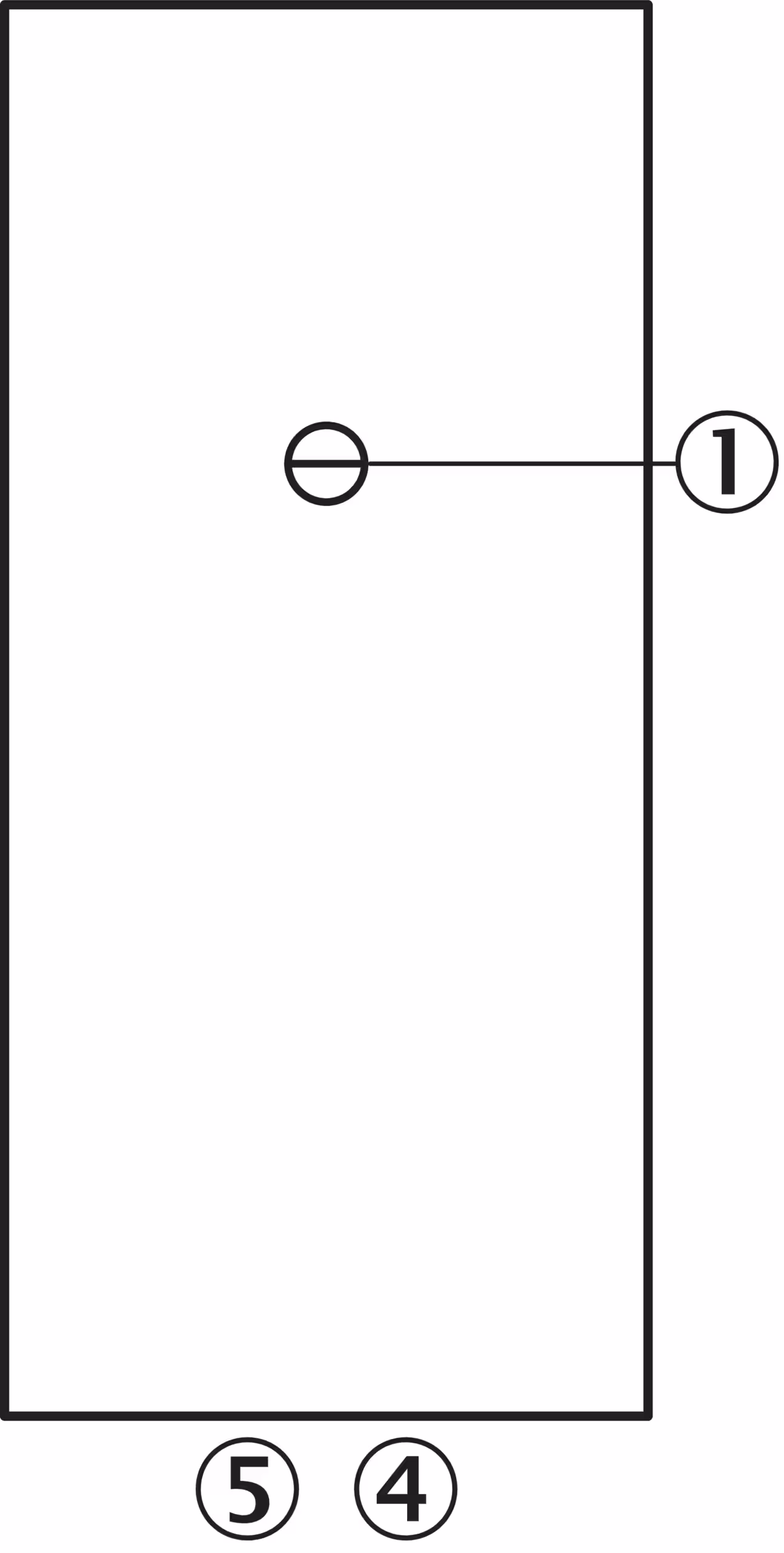 VL180-2P42436 6037496 SICK 原厂跨境代采