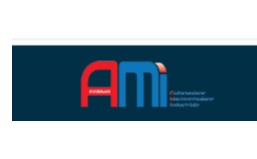 AMI 品牌图片