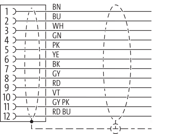 CAM12.A12-11230359 11230359 - Baumer产品图片
