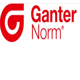 德国 Ganter Logo