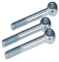 AUGENSCHRAUBE BM8X70 - A2 101192471 - Schmersal产品主图
