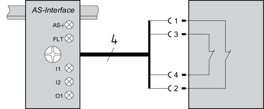 ASIM-C-M12-4P-0,5M 103004694 - Schmersal产品图片