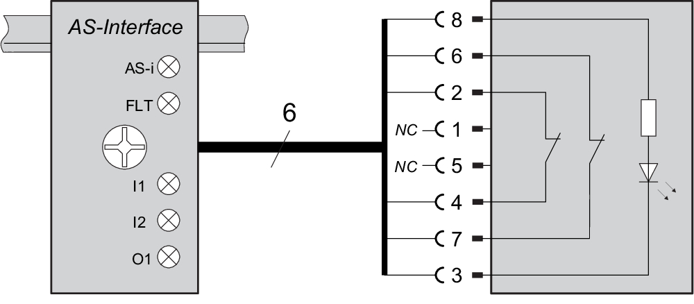 ASIM-C-M12-8P-0,5M 103004696 - Schmersal产品图片
