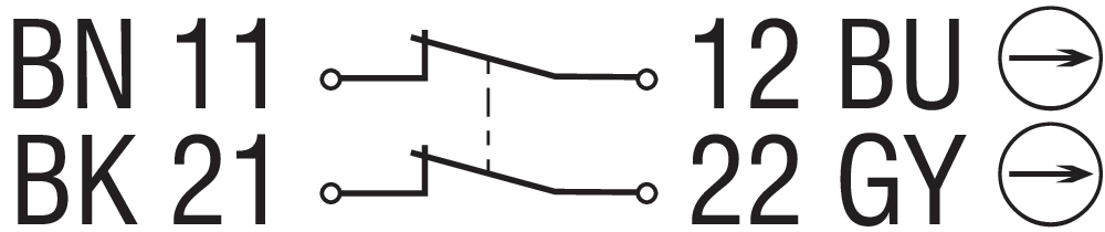 AZ 17-02ZK-2243 5,0M 101160652 - Schmersal产品图片