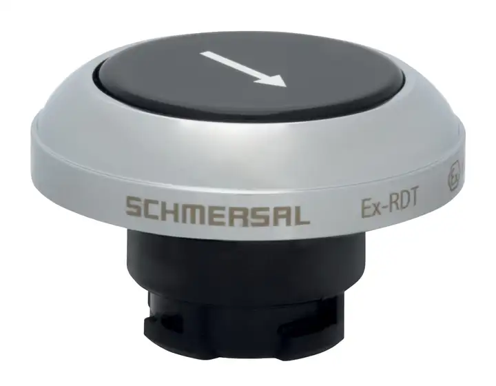 Schmersal EX-RDTSW/101D 101213994