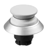 NDTP30WS 103005363 - Schmersal产品主图