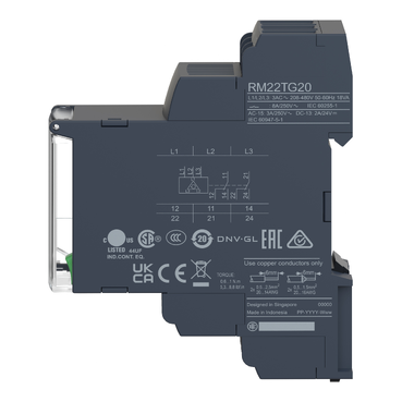 RM22TG20 - Schneider产品图片
