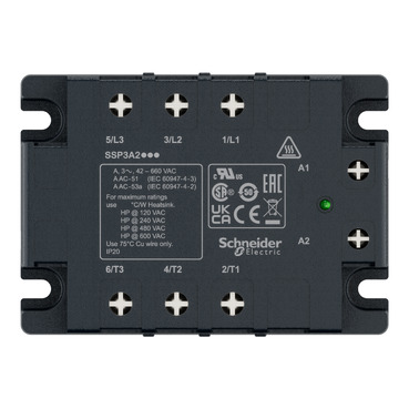 SSP3A250BDT - Schneider产品图片